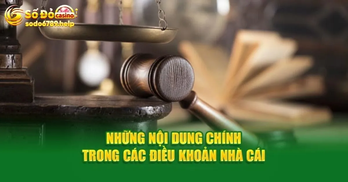 Các điều khoản và điều kiện Sodo6789 cần nắm rõ